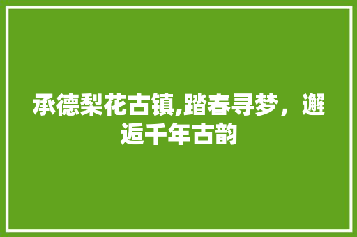 承德梨花古镇,踏春寻梦，邂逅千年古韵