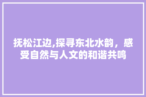 抚松江边,探寻东北水韵，感受自然与人文的和谐共鸣