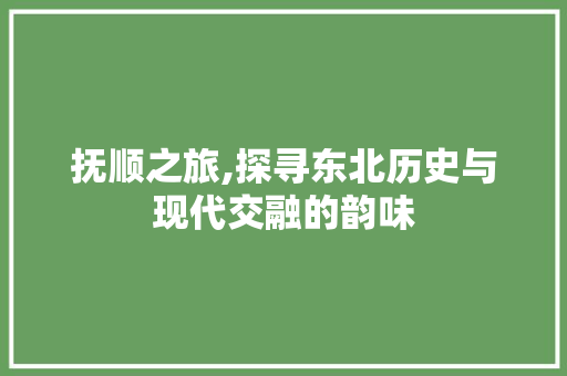 抚顺之旅,探寻东北历史与现代交融的韵味