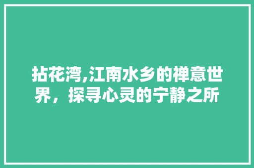 拈花湾,江南水乡的禅意世界，探寻心灵的宁静之所