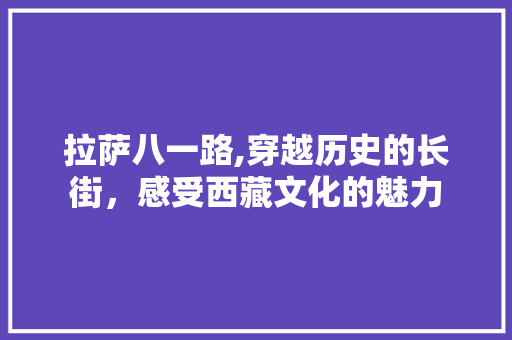 拉萨八一路,穿越历史的长街，感受西藏文化的魅力