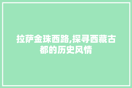 拉萨金珠西路,探寻西藏古都的历史风情