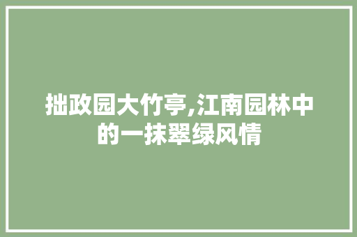 拙政园大竹亭,江南园林中的一抹翠绿风情