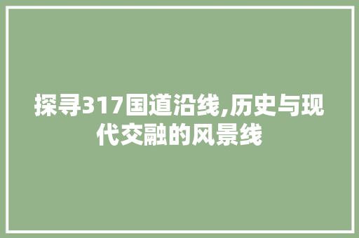 探寻317国道沿线,历史与现代交融的风景线