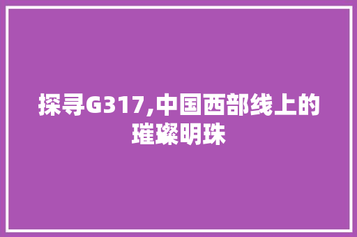 探寻G317,中国西部线上的璀璨明珠