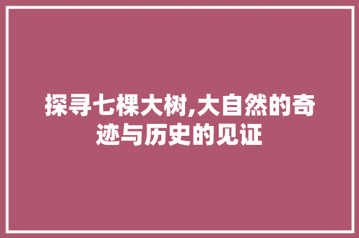 探寻七棵大树,大自然的奇迹与历史的见证