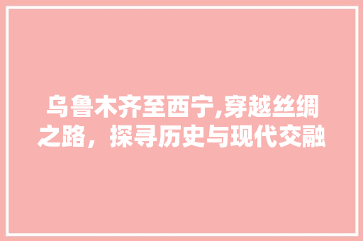 乌鲁木齐至西宁,穿越丝绸之路，探寻历史与现代交融的美丽风光