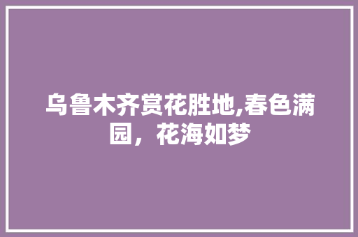 乌鲁木齐赏花胜地,春色满园，花海如梦  第1张