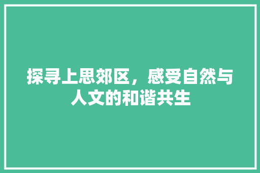 探寻上思郊区，感受自然与人文的和谐共生