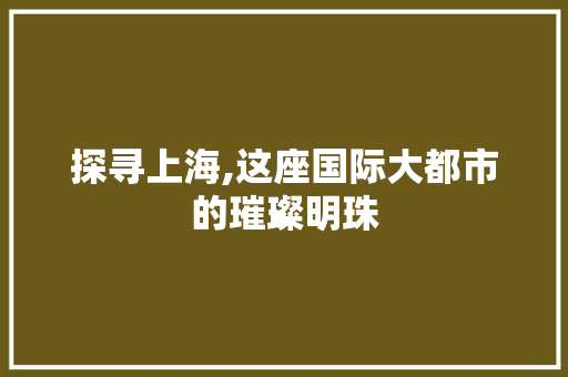 探寻上海,这座国际大都市的璀璨明珠