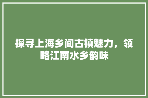 探寻上海乡间古镇魅力，领略江南水乡韵味