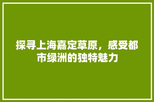 探寻上海嘉定草原，感受都市绿洲的独特魅力