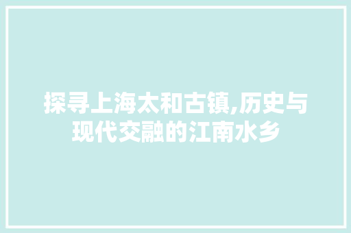 探寻上海太和古镇,历史与现代交融的江南水乡