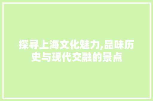 探寻上海文化魅力,品味历史与现代交融的景点