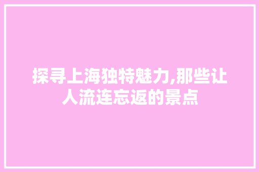 探寻上海独特魅力,那些让人流连忘返的景点