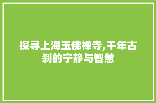 探寻上海玉佛禅寺,千年古刹的宁静与智慧