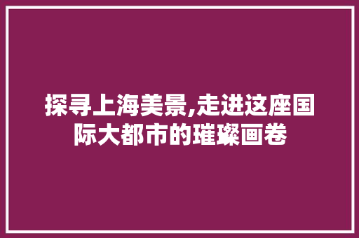 探寻上海美景,走进这座国际大都市的璀璨画卷