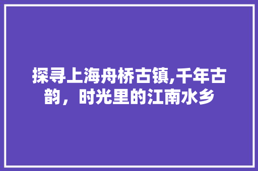 探寻上海舟桥古镇,千年古韵，时光里的江南水乡