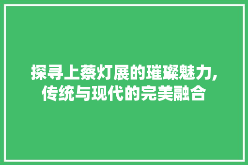 探寻上蔡灯展的璀璨魅力,传统与现代的完美融合