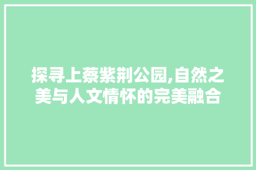 探寻上蔡紫荆公园,自然之美与人文情怀的完美融合