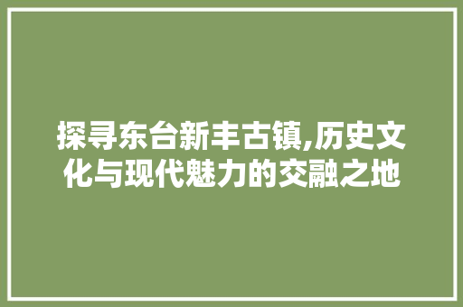 探寻东台新丰古镇,历史文化与现代魅力的交融之地