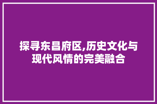 探寻东昌府区,历史文化与现代风情的完美融合