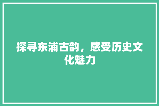 探寻东浦古韵，感受历史文化魅力