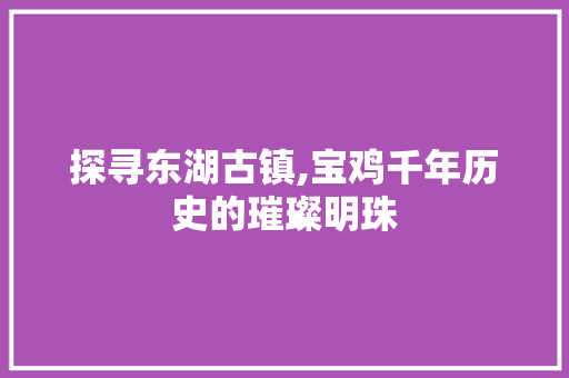 探寻东湖古镇,宝鸡千年历史的璀璨明珠