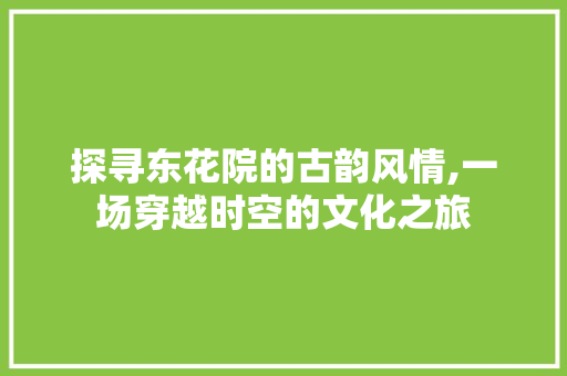 探寻东花院的古韵风情,一场穿越时空的文化之旅