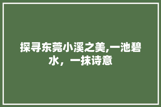 探寻东莞小溪之美,一池碧水，一抹诗意