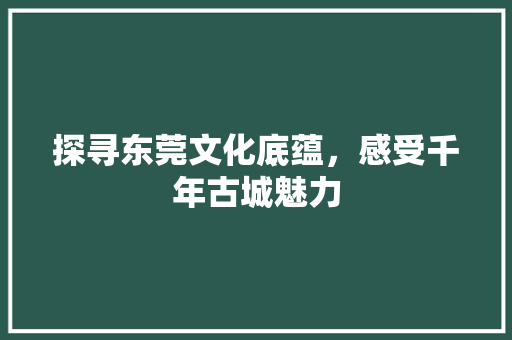 探寻东莞文化底蕴，感受千年古城魅力  第1张