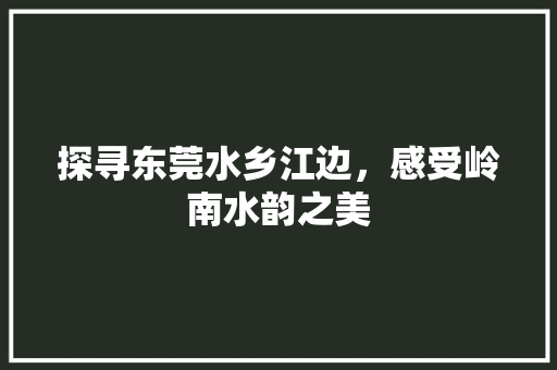 探寻东莞水乡江边，感受岭南水韵之美