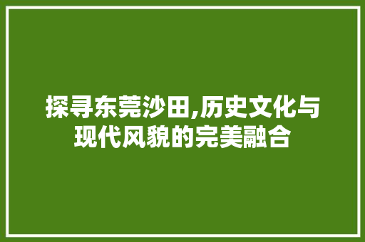 探寻东莞沙田,历史文化与现代风貌的完美融合