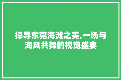 探寻东莞海滩之美,一场与海风共舞的视觉盛宴