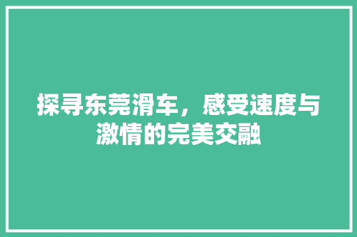 探寻东莞滑车，感受速度与激情的完美交融