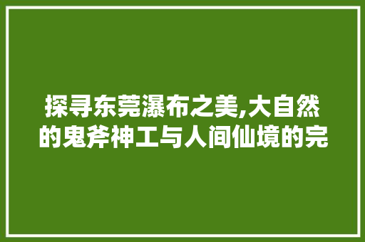 探寻东莞瀑布之美,大自然的鬼斧神工与人间仙境的完美融合