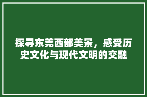 探寻东莞西部美景，感受历史文化与现代文明的交融