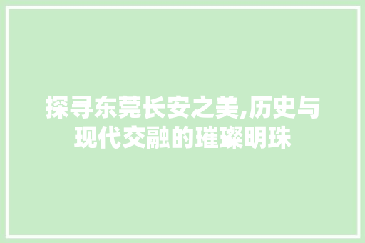 探寻东莞长安之美,历史与现代交融的璀璨明珠