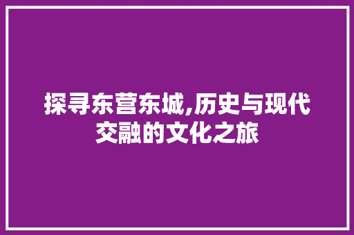 探寻东营东城,历史与现代交融的文化之旅