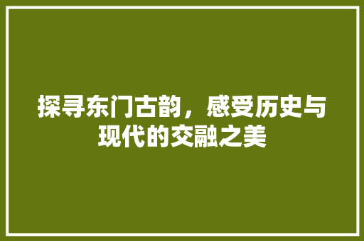 探寻东门古韵，感受历史与现代的交融之美