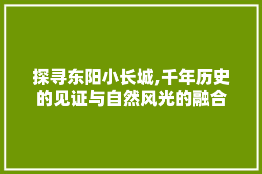 探寻东阳小长城,千年历史的见证与自然风光的融合