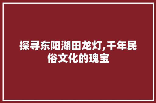 探寻东阳湖田龙灯,千年民俗文化的瑰宝