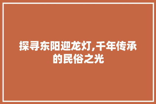 探寻东阳迎龙灯,千年传承的民俗之光