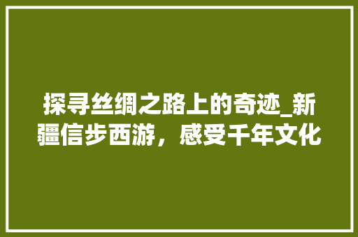 探寻丝绸之路上的奇迹_新疆信步西游，感受千年文化魅力