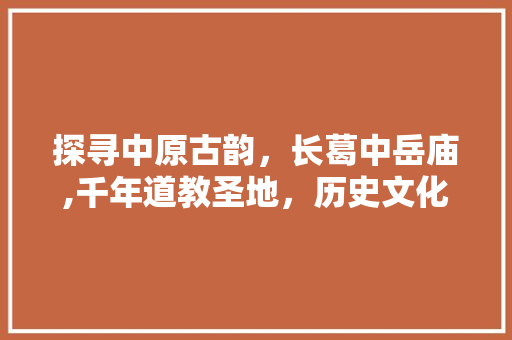 探寻中原古韵，长葛中岳庙,千年道教圣地，历史文化的瑰宝