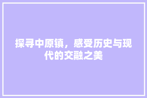 探寻中原镇，感受历史与现代的交融之美