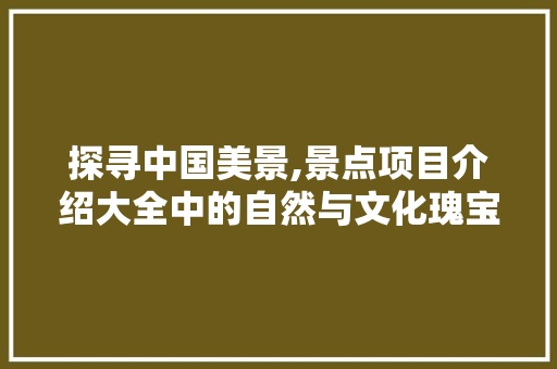 探寻中国美景,景点项目介绍大全中的自然与文化瑰宝