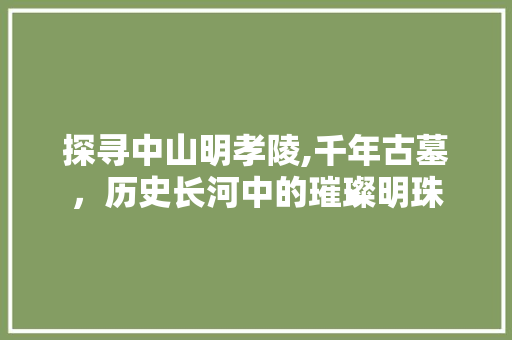 探寻中山明孝陵,千年古墓，历史长河中的璀璨明珠