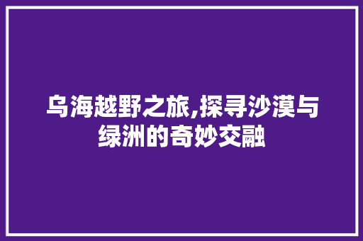 乌海越野之旅,探寻沙漠与绿洲的奇妙交融