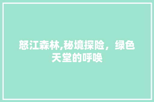 怒江森林,秘境探险，绿色天堂的呼唤